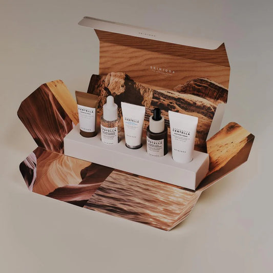 SKIN1004 Travel Kit – Edicion Especial 1004 Day Signature
