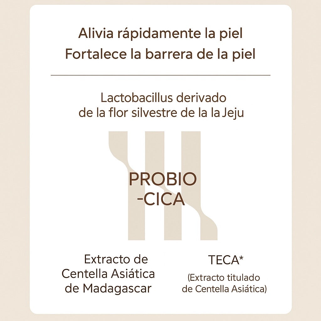 SKIN1004 Centella Probio-Cica Enrich Cream 15 ML - Crema que fortalece y calma la piel