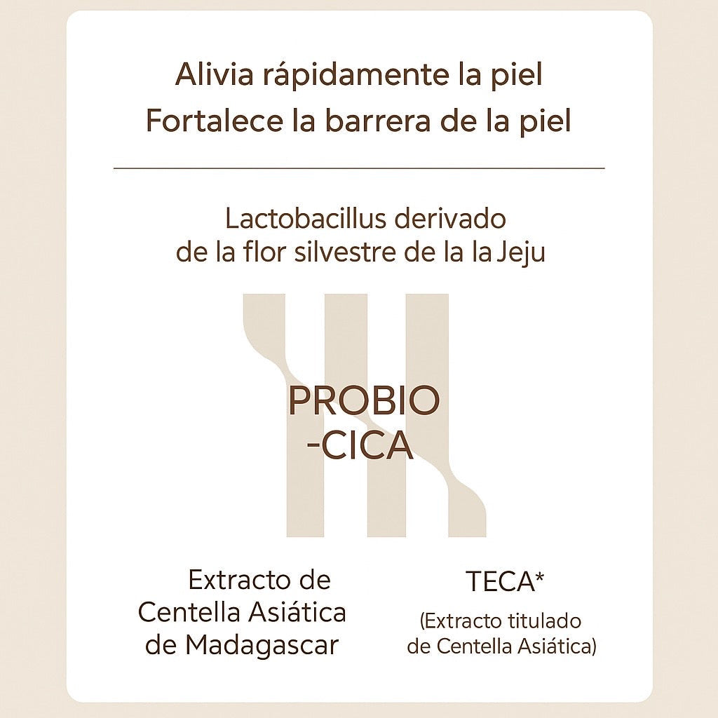 SKIN1004 Centella Probio-Cica Enrich Cream 50 ML - Crema que fortalece y calma la piel